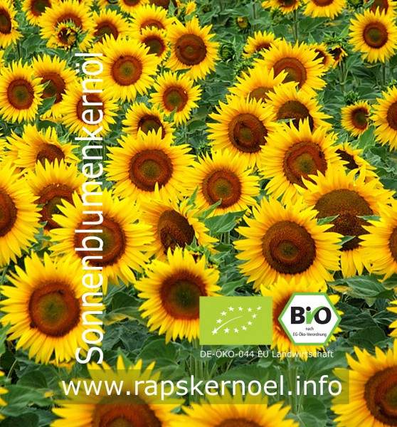 Sonnenblumenkernöl Bio, 3 Liter Bag-in-Box